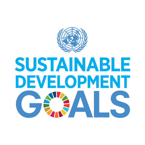 UN SDGs logo