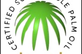 Roundtable on Sustainable Palm Oil logo